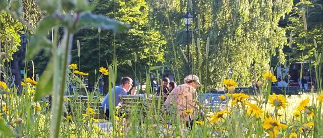 People relaxing on a summer day in a park full of flowers.
