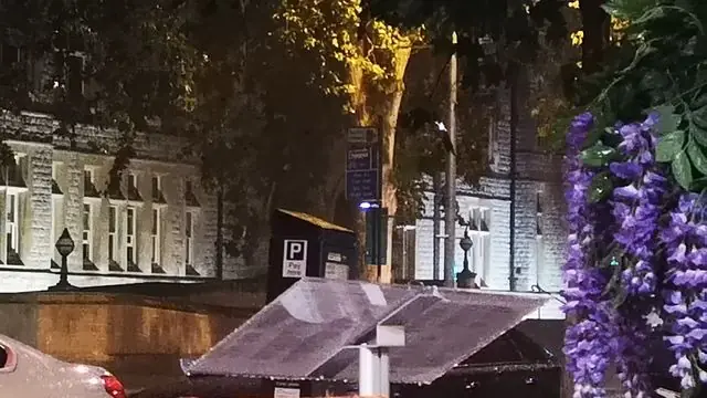 Wisteria in bloom on a rainy night in London.